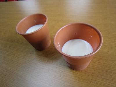 IMG_0226_resize.JPG